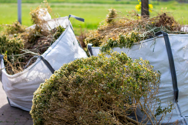 Best Mattress Removal Service  in Cherokee, IA